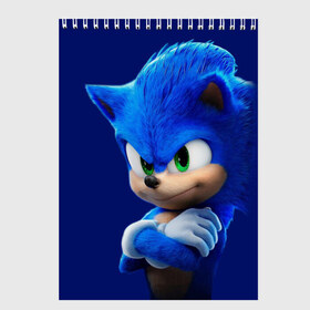 Скетчбук с принтом SONIC в городе Новоалтайск, 100% бумага
 | 48 листов, плотность листов — 100 г/м2, плотность картонной обложки — 250 г/м2. Листы скреплены сверху удобной пружинной спиралью | hedgehog | metal sonic | silver | silver the hedgehog | sonic | sonic boom | sonic the hedgehog | еж | ёж сонник | ежик | игры | кино | соник | соник в кино | фильм