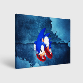 Холст прямоугольный с принтом sonic в городе Новоалтайск, 100% ПВХ |  | sega | sonic | sonic boom | sonic movie | sonic the hedgehog | соник | соник бум | соник бум блейз | соник бум карусель | соник в кино | эггман