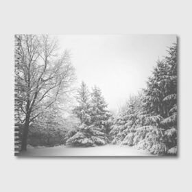 Альбом для рисования с принтом Winter Storm в городе Новоалтайск, 100% бумага
 | матовая бумага, плотность 200 мг. | winter | белый | деревья | ели | ель | заснеженный | зима | зимний | искусство | лес | природа | снег | снежная | текстура | текстуры | шторм