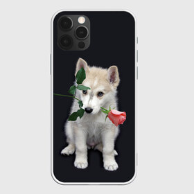 Чехол для iPhone 12 Pro Max с принтом Щенок в подарок в городе Новоалтайск, Силикон |  | Тематика изображения на принте: 8 марта щенок | husky | siberian husky | белый щенок | лайка | собака на день рождения | собака с розой | собака с цветком | хаски | щенок | щенок 8 марта | щенок лайки | щенок на 8 марта | щенок на день рождения
