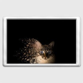 Магнит 45*70 с принтом Disintegrating Cat в городе Новоалтайск, Пластик | Размер: 78*52 мм; Размер печати: 70*45 | Тематика изображения на принте: cat | азулес | атомный кот | голубоглазая кошка | голубоглазый кот | голубоглазый котик | кот | кот к | кот распадающийся на атомы | кот с голубыми глазами | котик | котэ | кошак | кошачий портрет