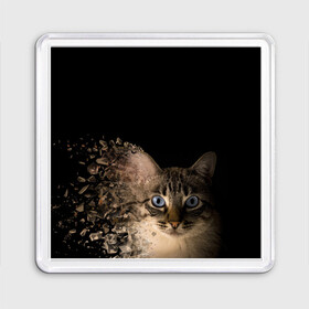 Магнит 55*55 с принтом Disintegrating Cat в городе Новоалтайск, Пластик | Размер: 65*65 мм; Размер печати: 55*55 мм | Тематика изображения на принте: cat | азулес | атомный кот | голубоглазая кошка | голубоглазый кот | голубоглазый котик | кот | кот к | кот распадающийся на атомы | кот с голубыми глазами | котик | котэ | кошак | кошачий портрет