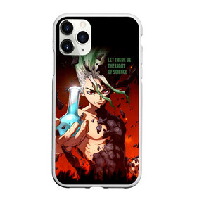 Чехол для iPhone 11 Pro матовый с принтом Доктор Стоун в городе Новоалтайск, Силикон |  | doctor stone | dr stone | аниме | доктор стоун