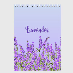 Скетчбук с принтом Lavander в городе Новоалтайск, 100% бумага
 | 48 листов, плотность листов — 100 г/м2, плотность картонной обложки — 250 г/м2. Листы скреплены сверху удобной пружинной спиралью | Тематика изображения на принте: 8 марта | lavanda | лаванда | праздник | цветы