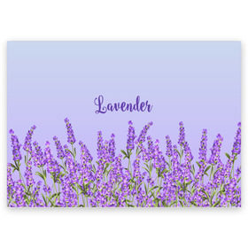 Поздравительная открытка с принтом Lavander в городе Новоалтайск, 100% бумага | плотность бумаги 280 г/м2, матовая, на обратной стороне линовка и место для марки
 | Тематика изображения на принте: 8 марта | lavanda | лаванда | праздник | цветы