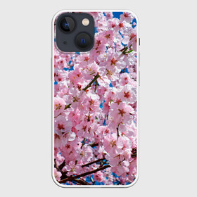 Чехол для iPhone 13 mini с принтом Цветущая Сакура в городе Новоалтайск,  |  | 8 марта | весна | вишня | женский день | лепестки | март | поздравления | праздник 8 марта | ромашки | сакура | цветок | цветочки | цветы | япония