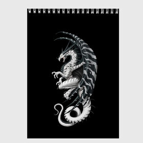 Скетчбук с принтом White Dragon в городе Новоалтайск, 100% бумага
 | 48 листов, плотность листов — 100 г/м2, плотность картонной обложки — 250 г/м2. Листы скреплены сверху удобной пружинной спиралью | Тематика изображения на принте: beast | dinosaur | dragon | fire | hunter | ice | monster | predator | reptile | динозавр | дракон | зверь | лед | ледяной | монстр | огненный | огонь | охотник | хищник