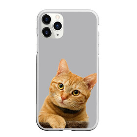 Чехол для iPhone 11 Pro Max матовый Рыжий котик: в городе Новоалтайск, Силикон | | baby | cat | kitty | глаза | голова | животные | зверь | кот | котенок | котики | кошки | лапы | малыш | полосатый | рыжий