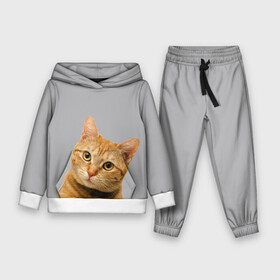 Детский костюм 3D (с толстовкой) с принтом Рыжий котик в городе Новоалтайск,  |  | baby | cat | kitty | глаза | голова | животные | зверь | кот | котенок | котики | кошки | лапы | малыш | полосатый | рыжий