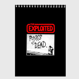 Скетчбук с принтом Punks Not Dead в городе Новоалтайск, 100% бумага
 | 48 листов, плотность листов — 100 г/м2, плотность картонной обложки — 250 г/м2. Листы скреплены сверху удобной пружинной спиралью | Тематика изображения на принте: art | punk | punks not dead | rock | sons of anarchy | анархия | арт | группа | егор летов | логотип | музыка | надпись | панк | панк рок | прикольная | рок | свобода | хаос