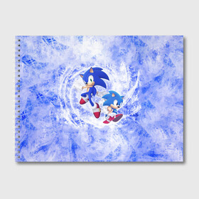 Альбом для рисования с принтом Sonic в городе Новоалтайск, 100% бумага
 | матовая бумага, плотность 200 мг. | Тематика изображения на принте: 90 е | old school | sega | sonic | еж | игра | олдскулл | сега | синий еж | соник