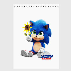 Скетчбук с принтом SONIC в городе Новоалтайск, 100% бумага
 | 48 листов, плотность листов — 100 г/м2, плотность картонной обложки — 250 г/м2. Листы скреплены сверху удобной пружинной спиралью | Тематика изображения на принте: hedgehog | metal sonic | silver | silver the hedgehog | sonic | sonic boom | sonic the hedgehog | еж | ёж сонник | ежик | игры | кино | соник | соник в кино | сонник | фильм