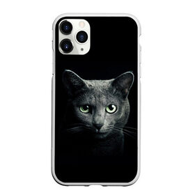 Чехол для iPhone 11 Pro Max матовый с принтом Кот в городе Новоалтайск, Силикон |  | Тематика изображения на принте: animal | animals | beast | black | cat | kitten | британец | британка | животное | животные | зверек | зверь | кот | котейка | котенок | котики | котэ | кошка | кошки | черная