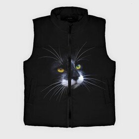 Мужской жилет утепленный 3D с принтом Кот в городе Новоалтайск,  |  | animal | animals | beast | black | cat | kitten | британец | британка | животное | животные | зверек | зверь | кот | котейка | котенок | котики | котэ | кошка | кошки | черная