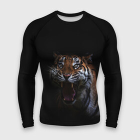 Мужской рашгард 3D с принтом Тигр в городе Новоалтайск,  |  | animal | animals | beast | black | cat | kitten | tiger | животное | животные | зверек | зверь | кот | котики | кошка | кошки | тигр | черная