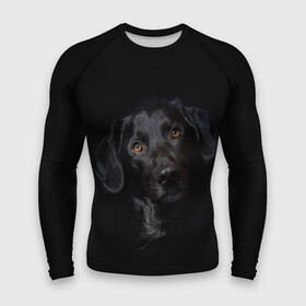 Мужской рашгард 3D с принтом Пес в городе Новоалтайск,  |  | animal | animals | beast | dog | dogs | friend | kitten | друг | животное | животные | зверь | кутенок | пес | псы | собака | собаки