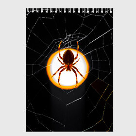 Скетчбук с принтом Spider в городе Новоалтайск, 100% бумага
 | 48 листов, плотность листов — 100 г/м2, плотность картонной обложки — 250 г/м2. Листы скреплены сверху удобной пружинной спиралью | Тематика изображения на принте: animal | hunter | spider | животное | животные | лапы | охота | охотник | паук | паутина | хищник