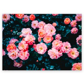 Поздравительная открытка с принтом Dark flowers в городе Новоалтайск, 100% бумага | плотность бумаги 280 г/м2, матовая, на обратной стороне линовка и место для марки
 | Тематика изображения на принте: dark | flowers | leaves | roses | весна | лепестки | розы | сад | цветы