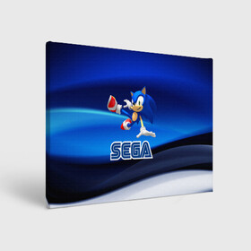 Холст прямоугольный с принтом SONIC в городе Новоалтайск, 100% ПВХ |  | hedgehog | metal sonic | silver | silver the hedgehog | sonic | sonic boom | sonic the hedgehog | ёж сонник | игры | соник | фильмы