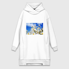Платье-худи хлопок с принтом Ромашки в городе Новоалтайск,  |  | flower bouquet | flowers | spring | summer | аромат | букет цветов | букеты | весна | жара | лето | небо | незабудки | пионы | розы | ромашка | ромашки | солнце | цветной принт | цветочки | цветы