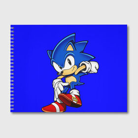 Альбом для рисования с принтом SONIC в городе Новоалтайск, 100% бумага
 | матовая бумага, плотность 200 мг. | Тематика изображения на принте: hedgehog | metal sonic | silver | silver the hedgehog | sonic | sonic boom | sonic the hedgehog | еж | ёж сонник | ежик | игры | кино | соник | соник в кино | фильм