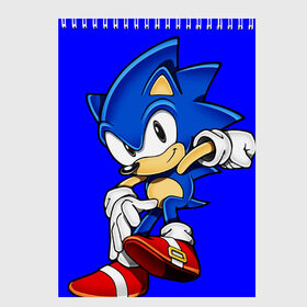 Скетчбук с принтом SONIC в городе Новоалтайск, 100% бумага
 | 48 листов, плотность листов — 100 г/м2, плотность картонной обложки — 250 г/м2. Листы скреплены сверху удобной пружинной спиралью | hedgehog | metal sonic | silver | silver the hedgehog | sonic | sonic boom | sonic the hedgehog | еж | ёж сонник | ежик | игры | кино | соник | соник в кино | фильм