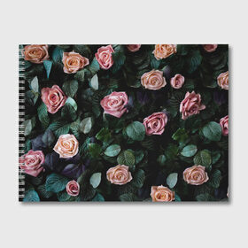Альбом для рисования с принтом PINK ROSES в городе Новоалтайск, 100% бумага
 | матовая бумага, плотность 200 мг. | Тематика изображения на принте: листья | растения | розовые | розы | цветы