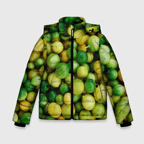 Зимняя куртка для мальчиков 3D с принтом Цытрусы в городе Новоалтайск, ткань верха — 100% полиэстер; подклад — 100% полиэстер, утеплитель — 100% полиэстер | длина ниже бедра, удлиненная спинка, воротник стойка и отстегивающийся капюшон. Есть боковые карманы с листочкой на кнопках, утяжки по низу изделия и внутренний карман на молнии. 

Предусмотрены светоотражающий принт на спинке, радужный светоотражающий элемент на пуллере молнии и на резинке для утяжки | лайм | лимон
