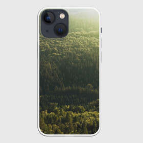 Чехол для iPhone 13 mini с принтом Летний лес в городе Новоалтайск,  |  | дерево | деревья | зеленый | лес | лето | небо | облако | солнце | темный | ярко