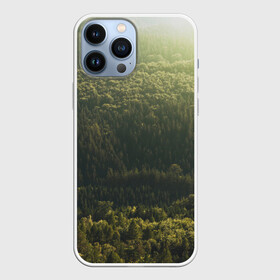 Чехол для iPhone 13 Pro Max с принтом Летний лес в городе Новоалтайск,  |  | дерево | деревья | зеленый | лес | лето | небо | облако | солнце | темный | ярко