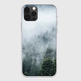 Чехол для iPhone 12 Pro Max с принтом Туманный лес в городе Новоалтайск, Силикон |  | белый | зеленый | лес | облака | облако | природа | темный | туман