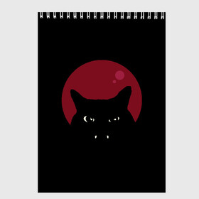 Скетчбук с принтом Vampire Cat в городе Новоалтайск, 100% бумага
 | 48 листов, плотность листов — 100 г/м2, плотность картонной обложки — 250 г/м2. Листы скреплены сверху удобной пружинной спиралью | art | cat | red moon | vampire | арт | вампир | животные | картинка | кот | котик | кошка | красная луна | рисунок