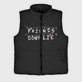 Мужской жилет утепленный 3D с принтом Friends Dont Lie в городе Новоалтайск,  |  | 11 | demogorgon | dont | friends | lie | retro | stranger | things | дастин | дела | демогоргон | друзья | лгут | не | оди | одиннадцать | очень | ретро | стив | странные | хоппер | хоукинс