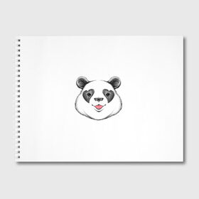 Альбом для рисования с принтом Panda в городе Новоалтайск, 100% бумага
 | матовая бумага, плотность 200 мг. | cute | cutie | heart | love | panda | арт | животное | животные | картинка | милая панда | панда | рисунок | сердце