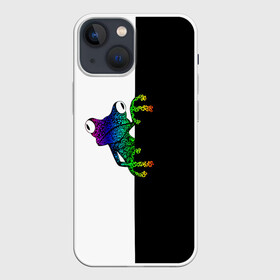 Чехол для iPhone 13 mini с принтом Лягуха в городе Новоалтайск,  |  | Тематика изображения на принте: белая | большая | всю | геометрия | глаза | голова | граффити | дикие | добрые | животные | зверь | злые | картинка | лого | лягуха | лягушка | на | опасный | пасть | пятна | пятнистая | смешная | текстуры