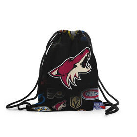 Рюкзак-мешок 3D с принтом Arizona Coyotes | NHL (Z) в городе Новоалтайск, 100% полиэстер | плотность ткани — 200 г/м2, размер — 35 х 45 см; лямки — толстые шнурки, застежка на шнуровке, без карманов и подкладки | Тематика изображения на принте: anaheim ducks | arizona coyotes | boston bruins | buffalo sabres | calgary flames | canadiens de montreal | carolina hurricanes | chicago blackhawks | colorado avalanche | columbus blue jackets | dallas stars | detroit red wings | edmonton oil | hockey | 