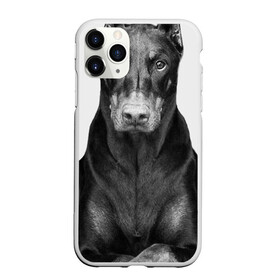 Чехол для iPhone 11 Pro Max матовый с принтом Любовь - это доберман в городе Новоалтайск, Силикон |  | доберман | дрессировка | забота | любовь | собака | собаки | собачка | собачник | увлечение | хобби