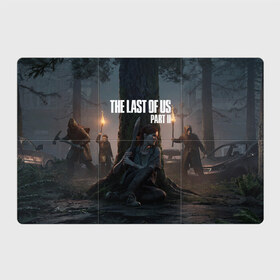 Магнитный плакат 3Х2 с принтом The Last of Us part 2 в городе Новоалтайск, Полимерный материал с магнитным слоем | 6 деталей размером 9*9 см | Тематика изображения на принте: ellie | games | joel | naughty dog | night | джоэл | игры | ночь | одни из нас | часть 2 | элли