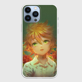 Чехол для iPhone 13 Pro Max с принтом The Promised Neverland в городе Новоалтайск,  |  | anime | emma | mango | the promised neverland | yakusoku no neverland | аниме | манга | обещанная страна грёз | обещанный неверленд