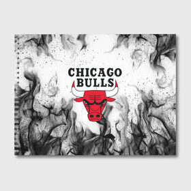 Альбом для рисования с принтом CHICAGO BULLS в городе Новоалтайск, 100% бумага
 | матовая бумага, плотность 200 мг. | Тематика изображения на принте: bulls | chicago | chicago bulls | nba | red bulls | usa | америка | быки | нба | сша | чикаго буллс