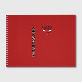 Альбом для рисования с принтом CHICAGO BULLS в городе Новоалтайск, 100% бумага
 | матовая бумага, плотность 200 мг. | Тематика изображения на принте: bulls | chicago | chicago bulls | nba | red bulls | usa | америка | быки | нба | сша | чикаго буллс