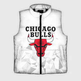 Мужской жилет утепленный 3D с принтом CHICAGO BULLS в городе Новоалтайск,  |  | bulls | chicago | chicago bulls | nba | red bulls | usa | америка | быки | нба | сша | чикаго буллс