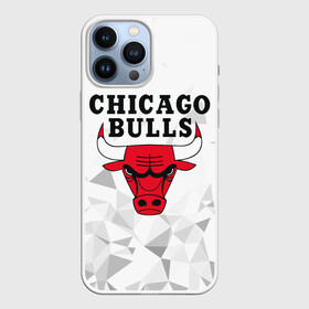 Чехол для iPhone 13 Pro Max с принтом CHICAGO BULLS в городе Новоалтайск,  |  | Тематика изображения на принте: bulls | chicago | chicago bulls | nba | red bulls | usa | америка | быки | нба | сша | чикаго буллс