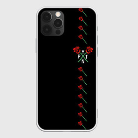 Чехол для iPhone 12 Pro Max с принтом Payton Moormeier в городе Новоалтайск, Силикон |  | Тематика изображения на принте: p y t n | payton moormeier | pytn | tik tok | tiktok | tiktoker | блоггер пэйтон | добро и зло | мурмейер | мурмиер | пейтон | разбитое сердце | розы | тик ток | тикток