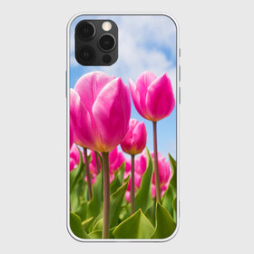 Чехол для iPhone 12 Pro Max с принтом Розовые тюльпаны в городе Новоалтайск, Силикон |  | flowers | бутоны | дача | девушке | женщинам | лепестки | летний | лето | листья | любимая | любовь | небесный | небо | нежный | облака | поляна | природа | растения | романтика | сад | синеенебо | солнечный