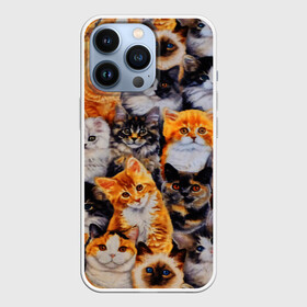 Чехол для iPhone 13 Pro с принтом КОТЯТКИ в городе Новоалтайск,  |  | Тематика изображения на принте: cat | взгляд | кот | кот хипстер | котёнок | котятки | котятушки | кошечки | кошка | мордочка