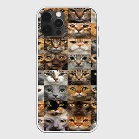 Чехол для iPhone 12 Pro Max с принтом КОТОПАТТЕРН в городе Новоалтайск, Силикон |  | cat | взгляд | кот | кот хипстер | котёнок | котятки | котятушки | кошечки | кошка | мордочка