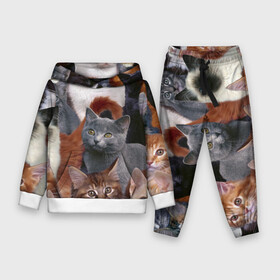 Детский костюм 3D (с толстовкой) с принтом КОТЯТКИ в городе Новоалтайск,  |  | cat | взгляд | кот | кот хипстер | котёнок | котятки | котятушки | кошечки | кошка | мордочка