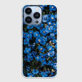 Чехол для iPhone 13 Pro с принтом Поле синих цветов фиалки лето в городе Новоалтайск,  |  | Тематика изображения на принте: голубые цветочки | лето | луг | незабудки | поле | поляна | синие цветы | узор из цветов | фиалки | фото реализм | цветы
