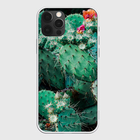 Чехол для iPhone 12 Pro Max с принтом кактусы с цветами реализм в городе Новоалтайск, Силикон |  | бутоны | иголки | кактус | кактусы | комнатные растения | лето | реализм | суккуленты | тропики | узор | цветки | цветы | экзотика